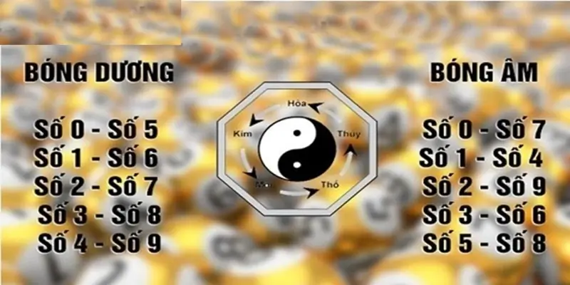 huong-dan-phan-biet-cac-loai-bong-am-duong
